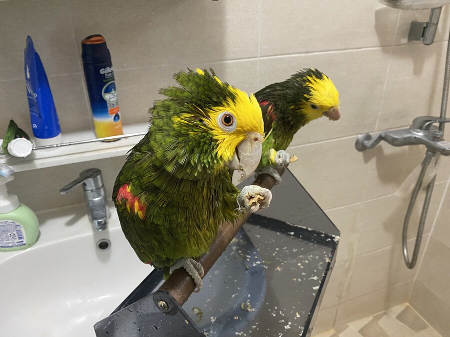 샤워 후 먹는 호두가 제맛이지~_3.jpg