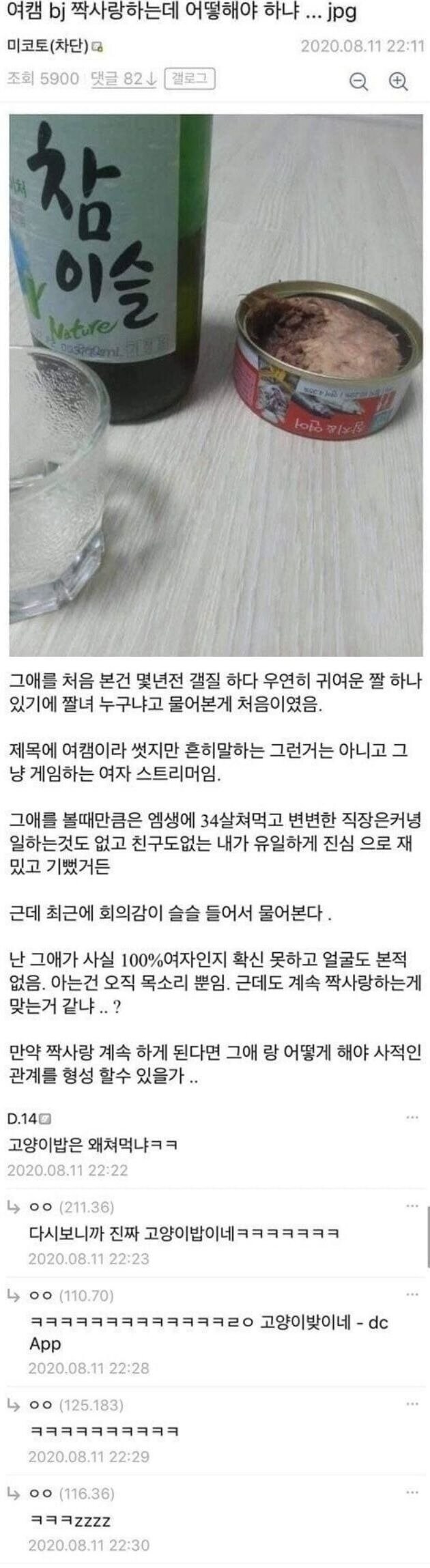 여캠 bj를 사랑한 디시인_1.jpg