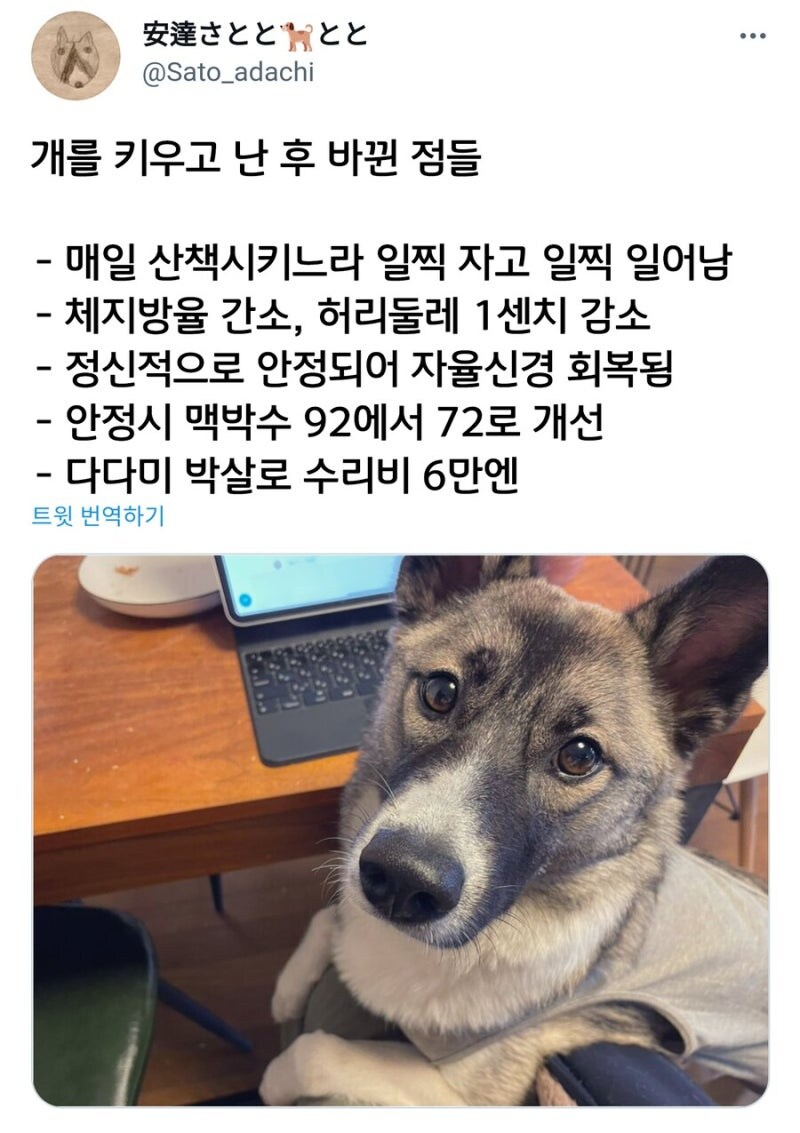 개 키우고 난 후 바뀐점들_1.jpg