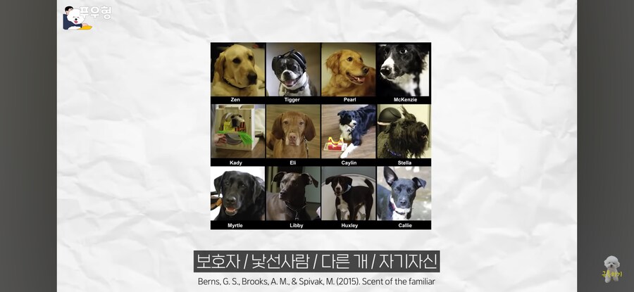 의외로 강아지에게 도파민 펌핑이 되는 행동_2.png