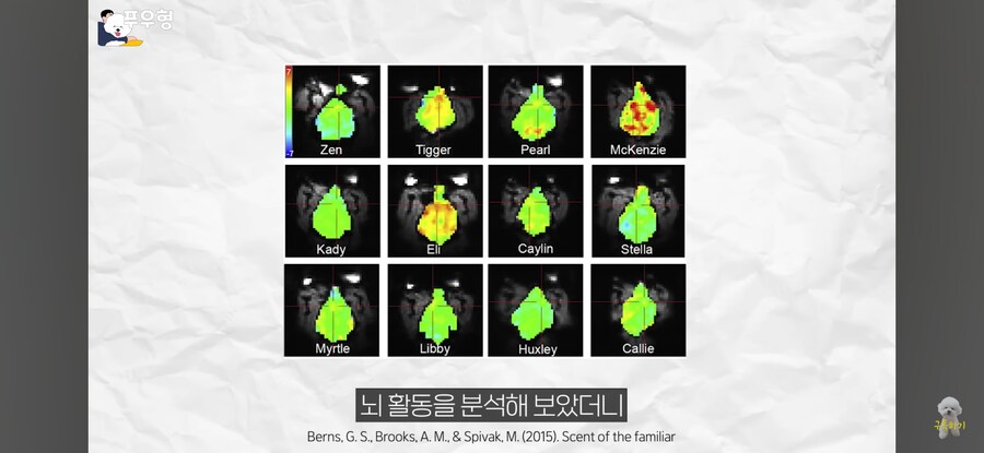 의외로 강아지에게 도파민 펌핑이 되는 행동_3.png