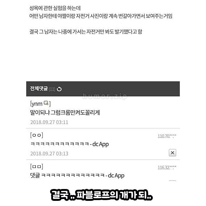 인간 성욕에 관한 실험.jpg_1.jpg