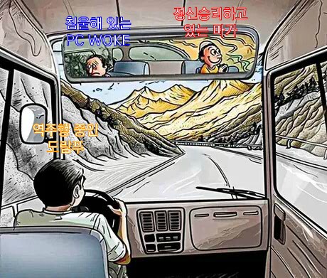 미국과 트럼프의 한달 간 상황 한짤 요약_1.png