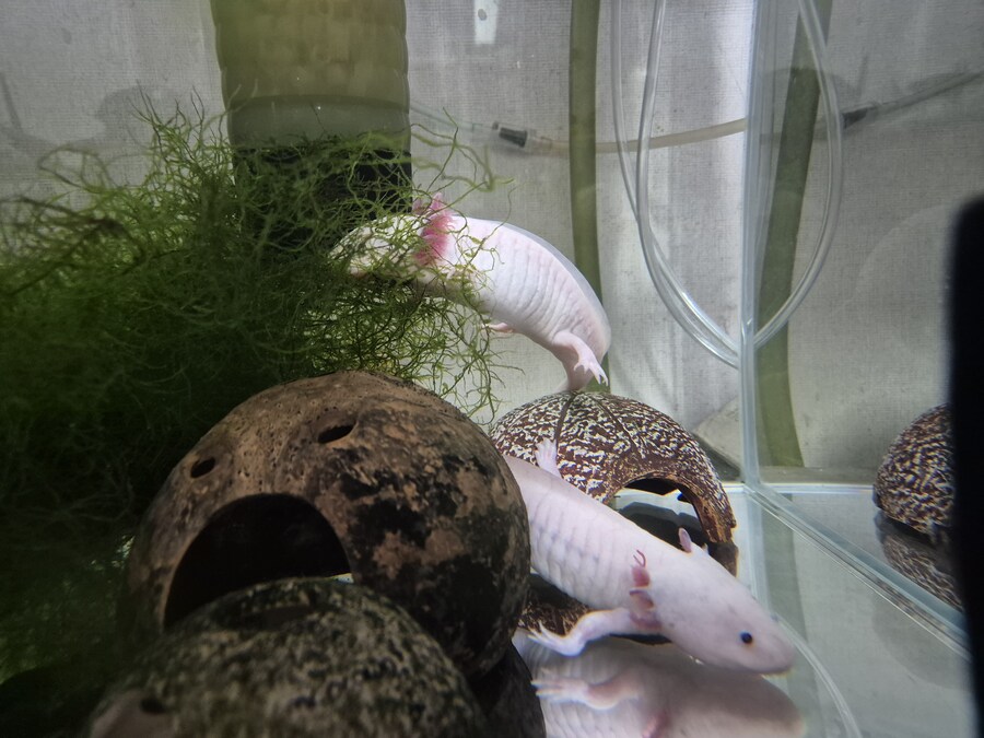 수조)상부시 하헌바_1.jpg