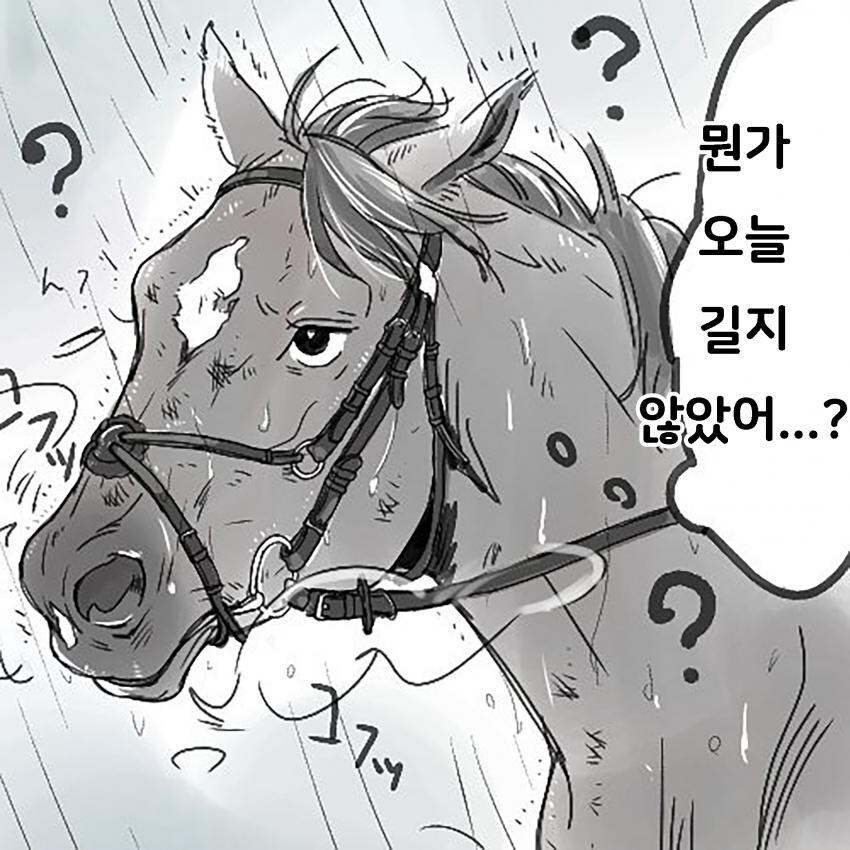 이번 말딸 신캐의 현역 시절 밈._1.jpg