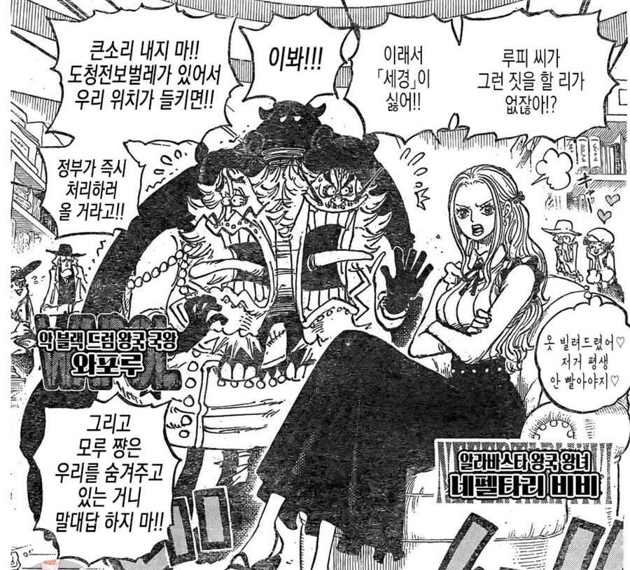 원피스 세계정부도 쉽게 못건드는 인물_15.jpg
