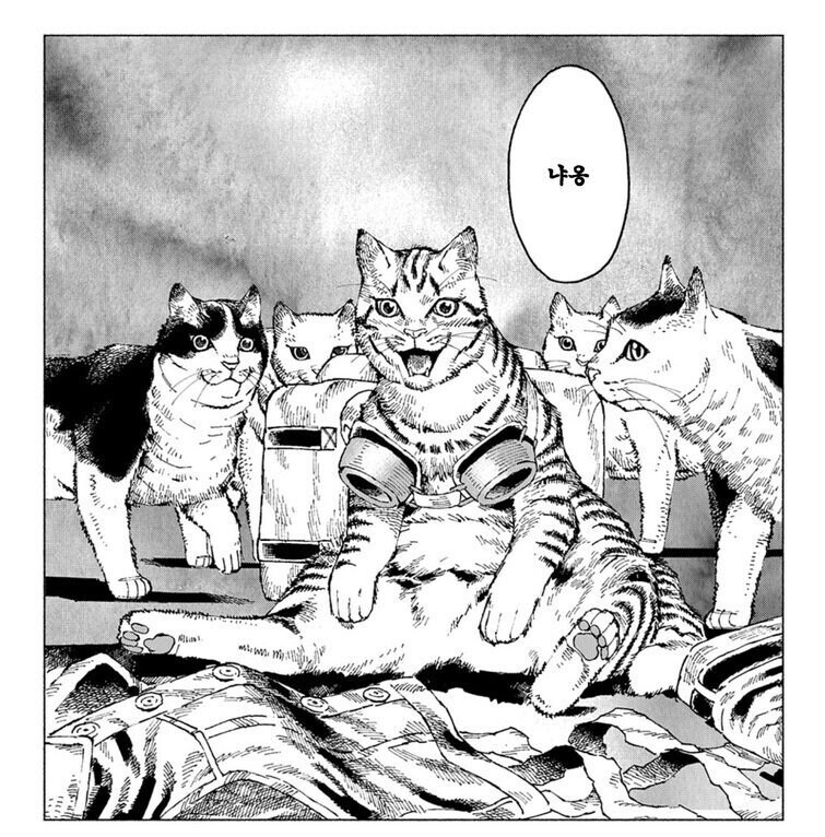 올여름에 하는 갓애니_5.jpg