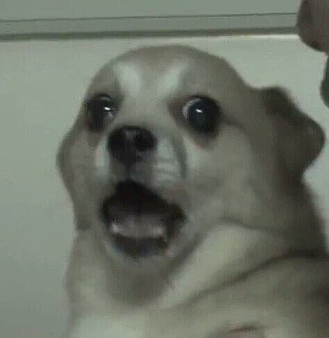 미쳐버린 맥집 잡지 근황.jpg_2.jpg