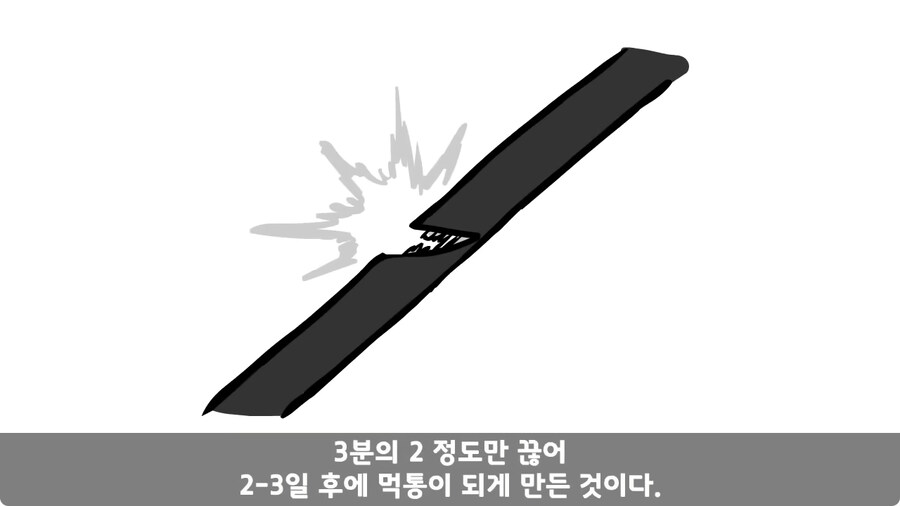 전역 후 헌병에게 체포된 말년병장.jpg_108.jpg