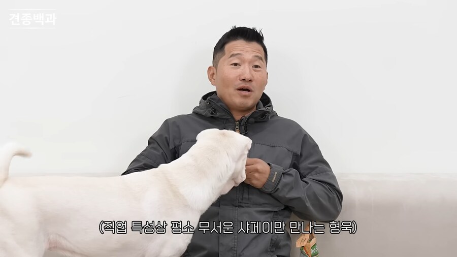 강형욱이 보기 힘들다는 개_1.png