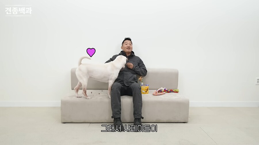 강형욱이 보기 힘들다는 개_3.png