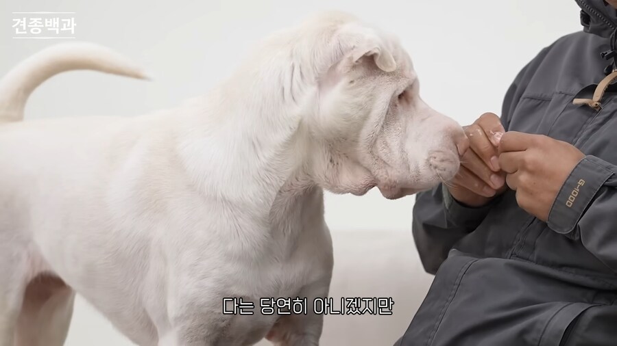 강형욱이 보기 힘들다는 개_4.png