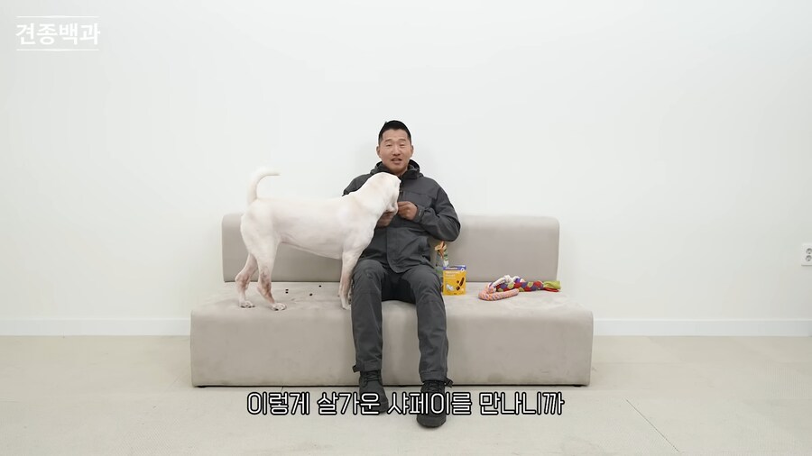 강형욱이 보기 힘들다는 개_6.png