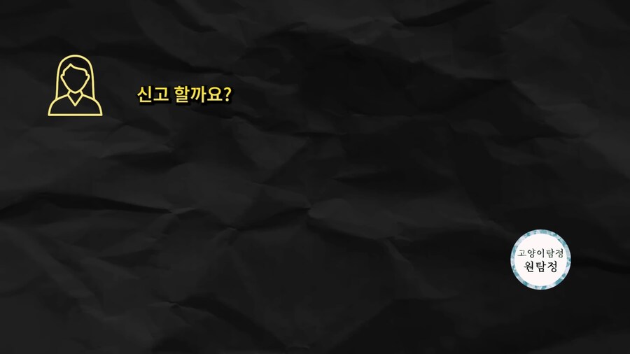 고양이 찾기 의뢰비용 20만원 먹튀 근황_10.jpg