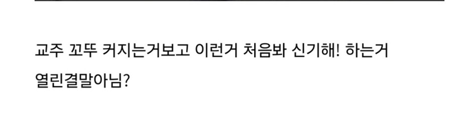 트릭컬 신캐를 본 교주들 반응.jpg_2.jpg