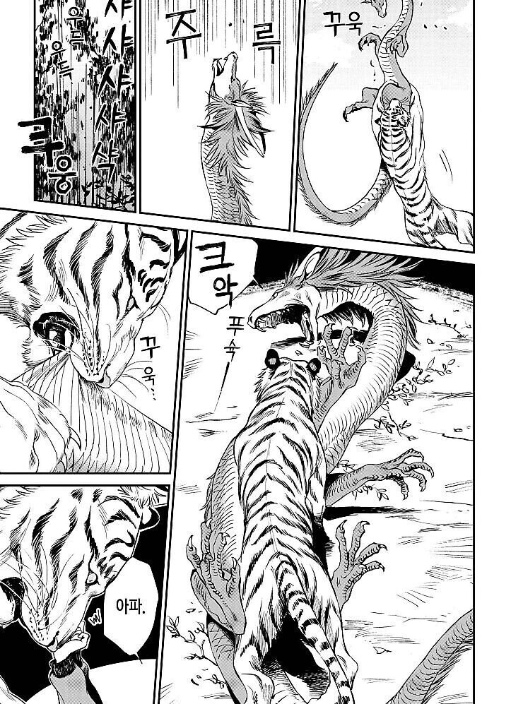 동양에서 용이랑 호랑이를 자꾸 매칭하는 이유_1.jpg