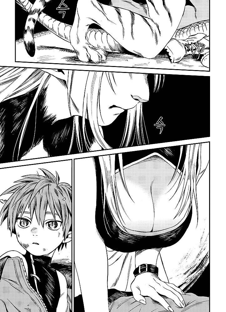 동양에서 용이랑 호랑이를 자꾸 매칭하는 이유_3.jpg