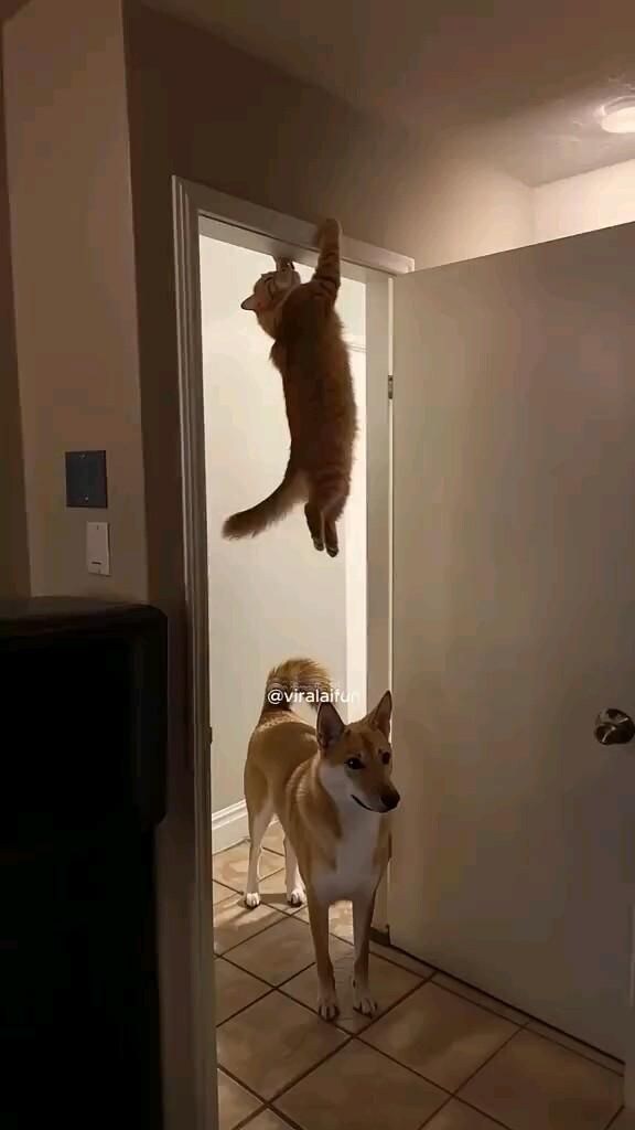 분명 이방안에 있는데.jpg_1.jpg