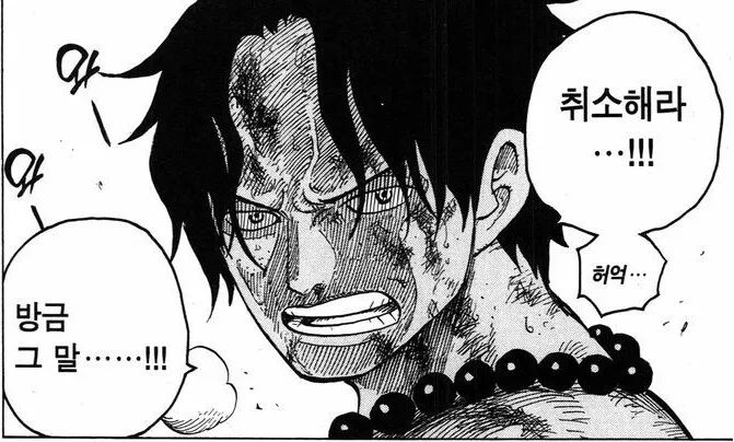 원피스 조연이 된 엑스트라_2.webp