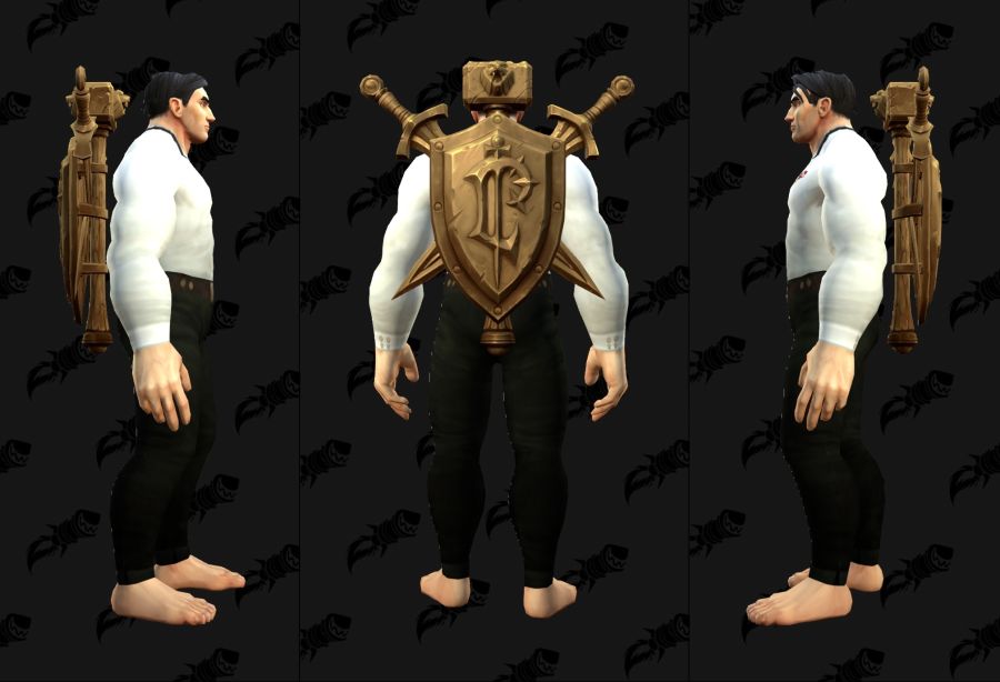 워크래프트 30주년 기념 월드 투어 굿즈 및 인게임 아이템들_4.jpg