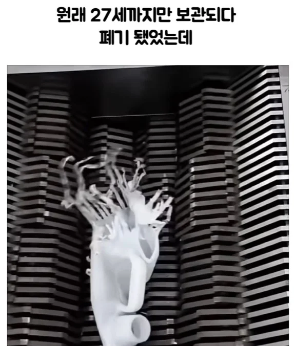 서른살 미만 유게이들 빨리 들어와봐!!!_6.webp