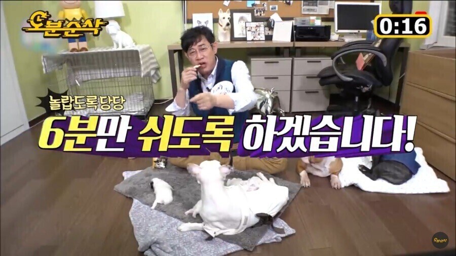 대한민국에서 이경규만 가능했던것_10.jpg