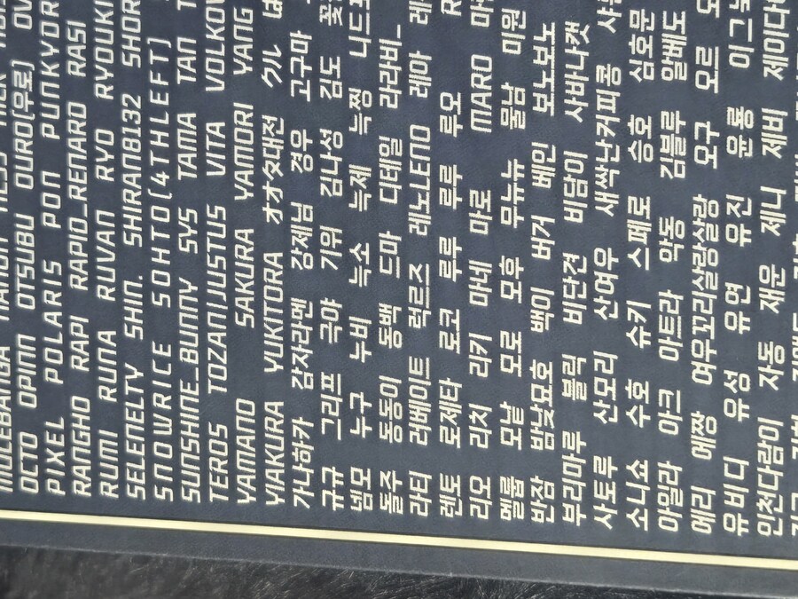 로제타_2.jpg