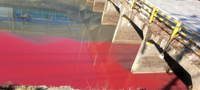 대구에서만 볼 수 있다는 알록달록 하천....jpg_1.jpg