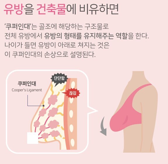 씹덕 용어 "장유"랑 "쳐젖"은 다르다_2.jpg