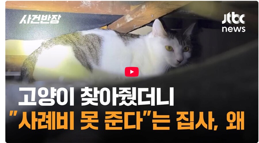 고양이 사례비 먹튀 근황_16.png