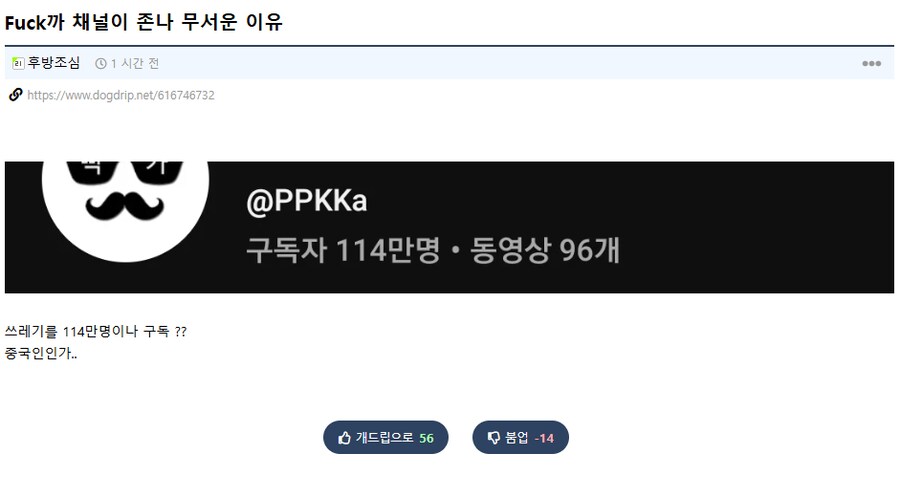 요즘은 이상한건 무조건 중국인 탓하는거 많이 보이더라_1.png