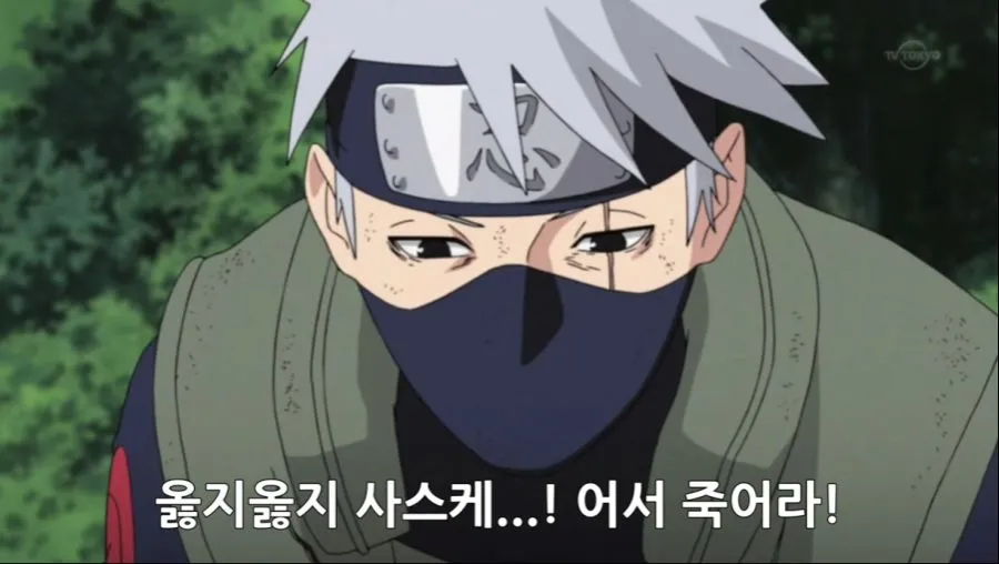 사실 인터넷짤로 캐릭터 성격을 파악하면 안됨_2.webp