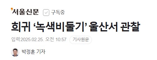 울산에서 발견된 희귀 '녹색비둘기'_1.png