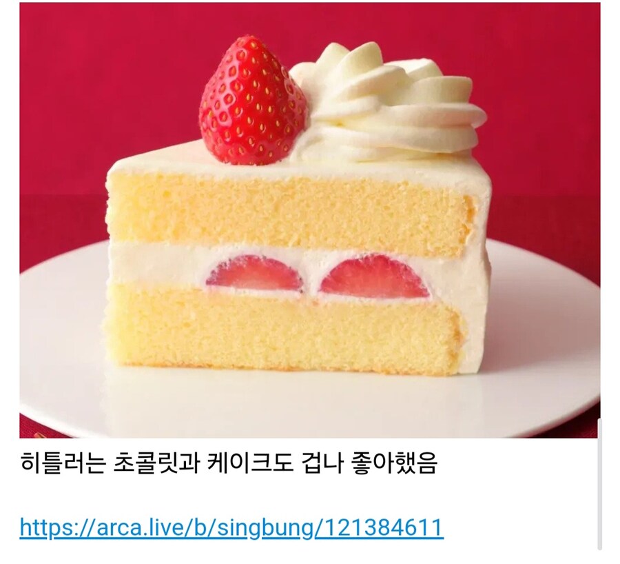 히틀러가 살아생전 좋아한 음식들.jpg_10.jpg