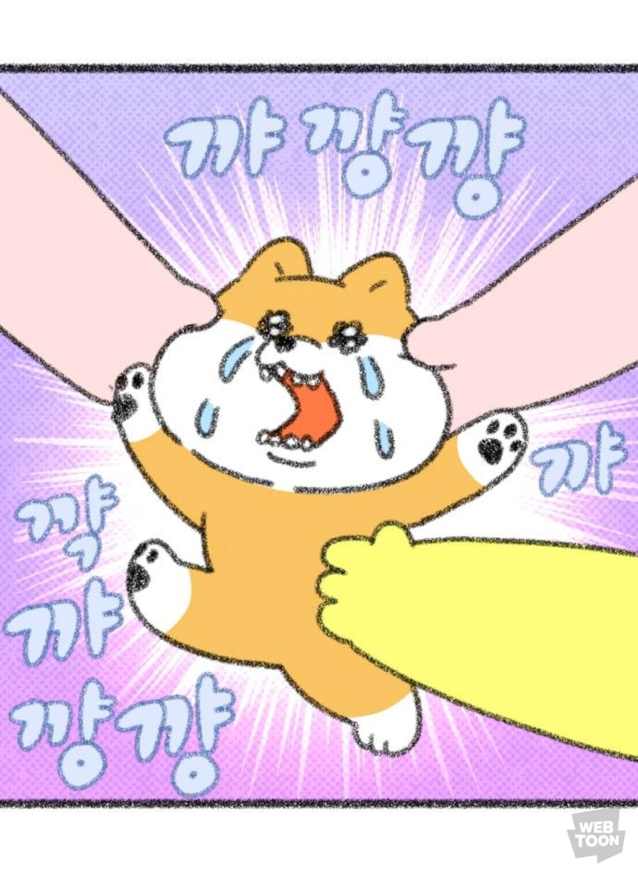 분리불안 강아지.manga_3.jpg