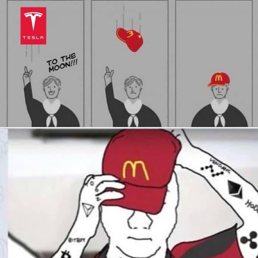 요근래 테슬라 투자자 상황_1.jpg