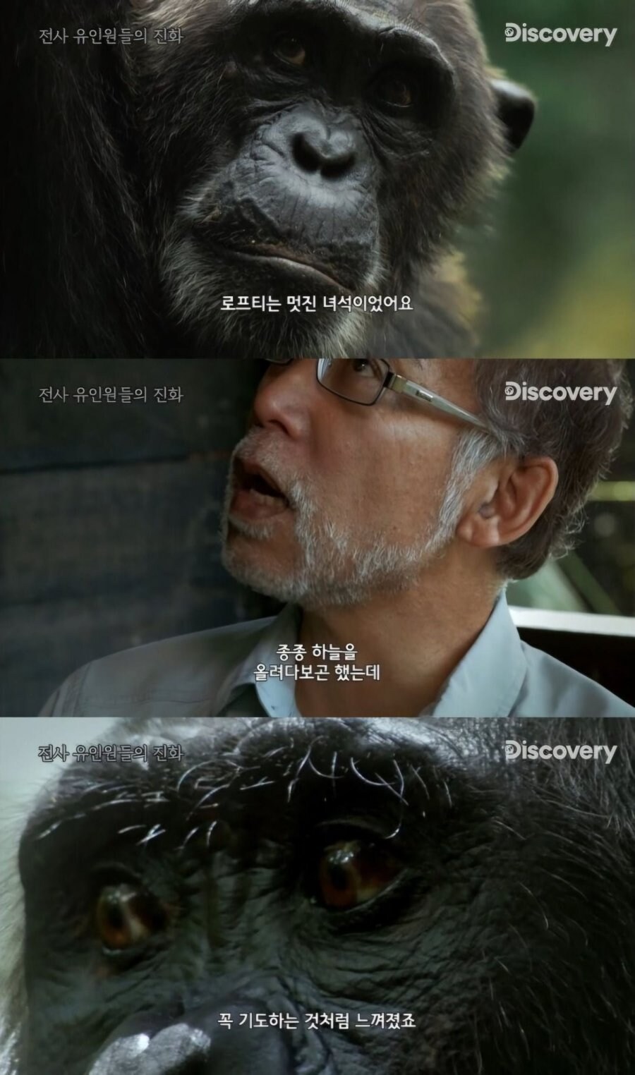 난리난 원숭이 근황.jpg_2.jpg