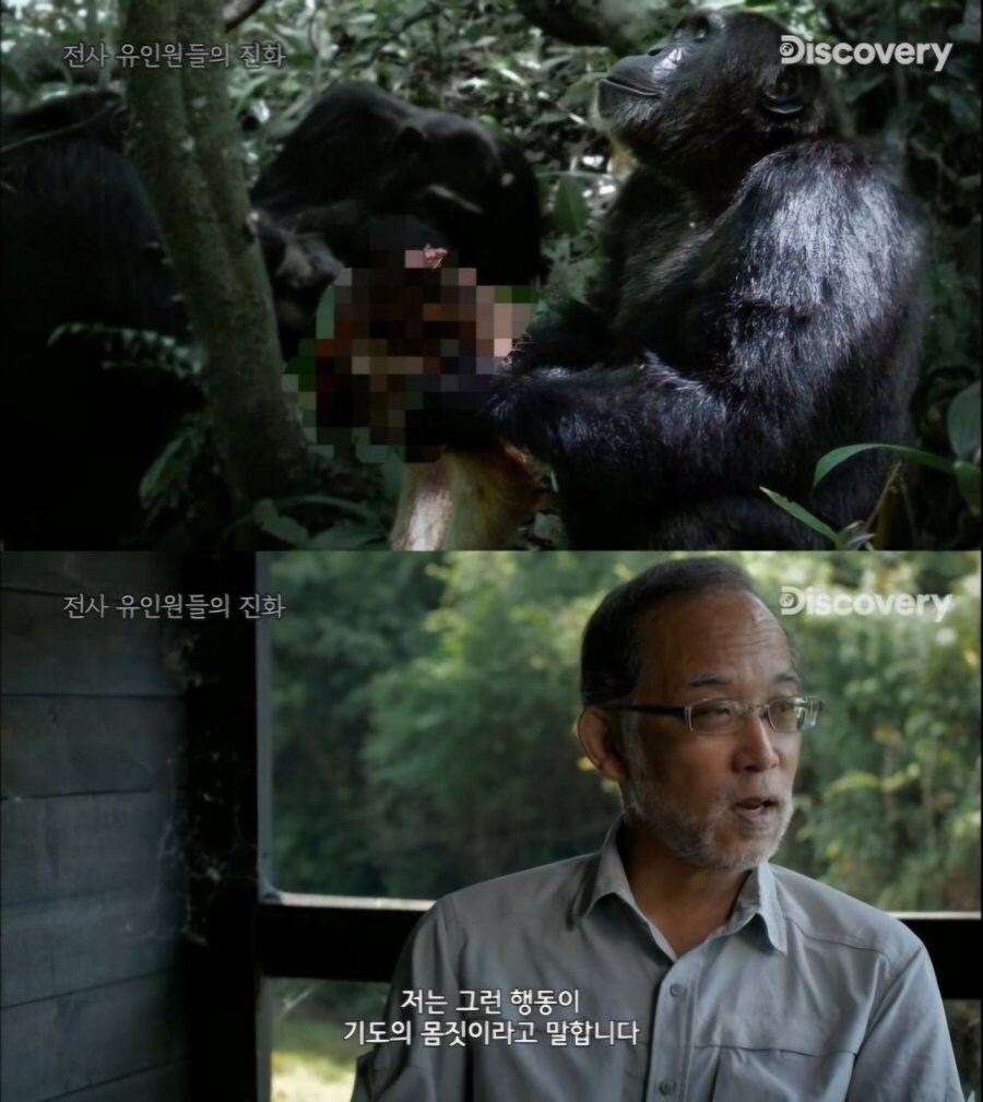 난리난 원숭이 근황.jpg_3.jpg