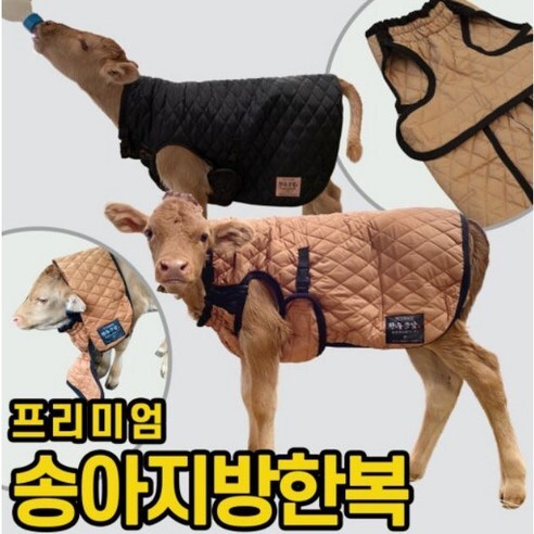 이상하다 분명 송아지 입으라고 만든옷인대..._1.png