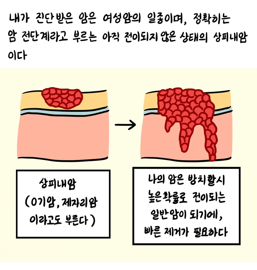 의대합격한 생활툰 작가 근황_4.webp