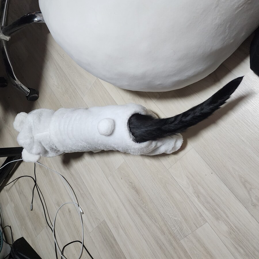 우리집 고양이 보고 출근해_29.jpg