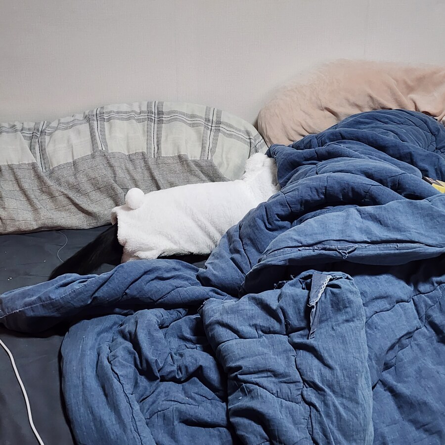 우리집 고양이 보고 출근해_30.jpg