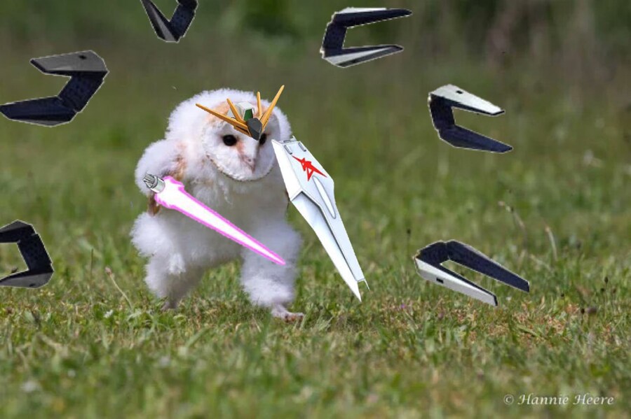 아니 이짤 자꾸 뭐가 나와ㅋㅋㅋㅋ_3.jpg