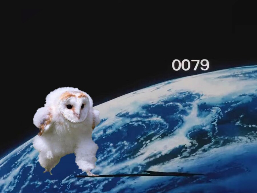 아니 이짤 자꾸 뭐가 나와ㅋㅋㅋㅋ_5.jpg