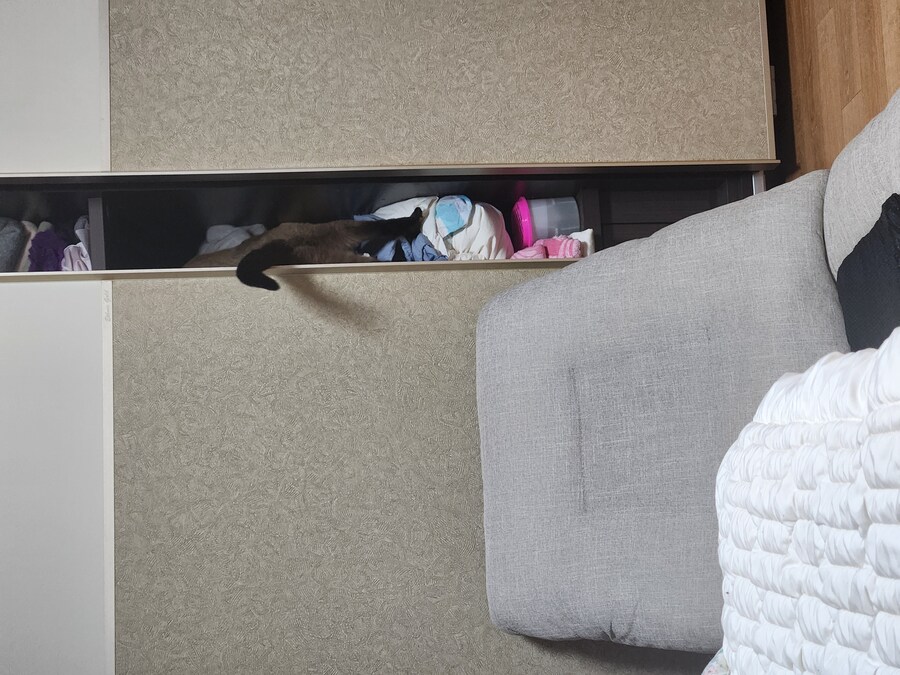 야옹이 사진 좀 냥냥하게 올렸음 칭찬해줘~~_1.jpg