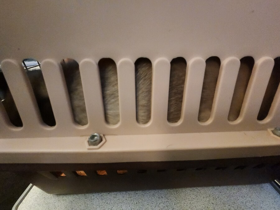 야옹이 사진 좀 냥냥하게 올렸음 칭찬해줘~~_3.jpg