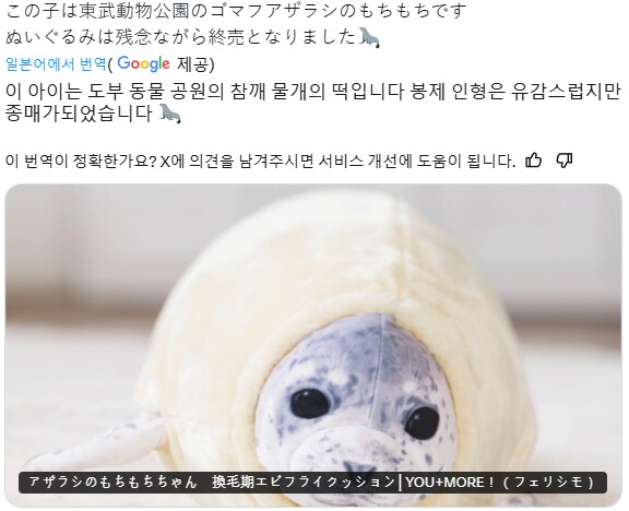 충격적인 일본의 바다표범 씻는 짤_1.png