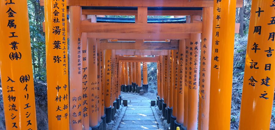 오사카 여행 4번째- 교토 깊숙히? 탐방~ 마지막ㅠ -스압-_19.jpg