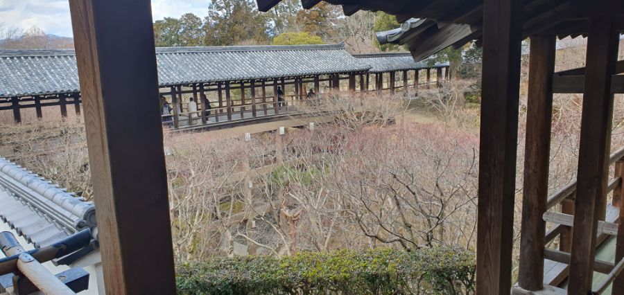 오사카 여행 4번째- 교토 깊숙히? 탐방~ 마지막ㅠ -스압-_42.jpg