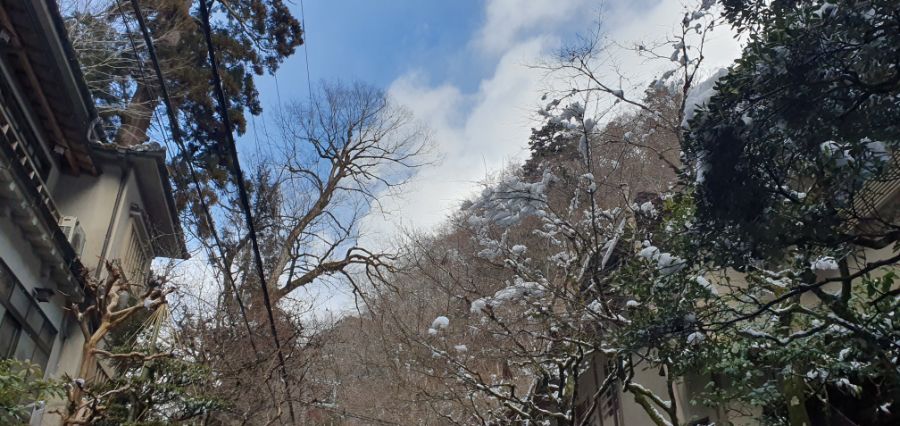 오사카 여행 4번째- 교토 깊숙히? 탐방~ 마지막ㅠ -스압-_60.jpg